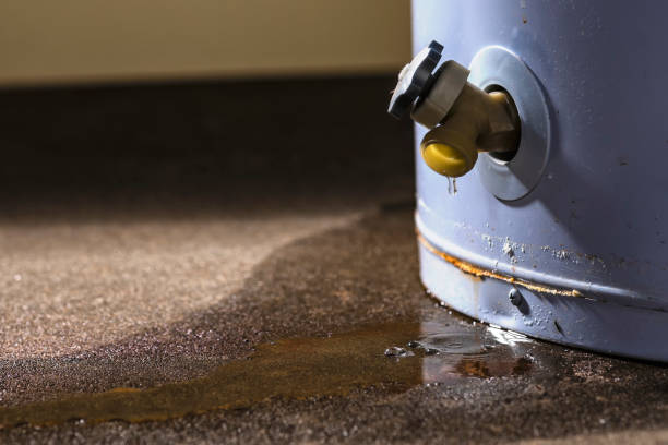 Best Sewage cleanup and water damage restoration  in Edgewater, NJ