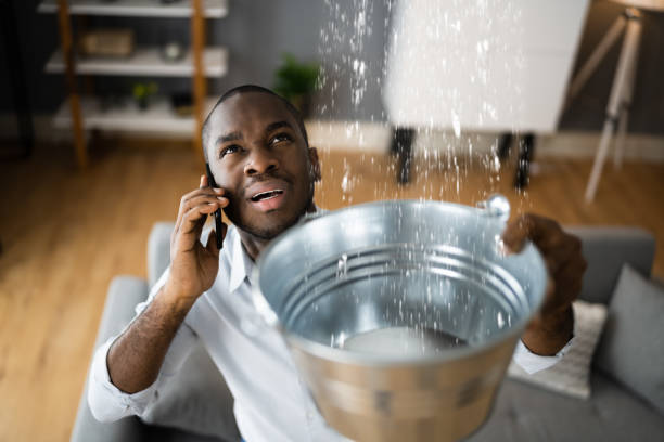 Best Water damage restoration near me  in Edgewater, NJ