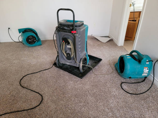 Best Mold removal after water damage  in Edgewater, NJ
