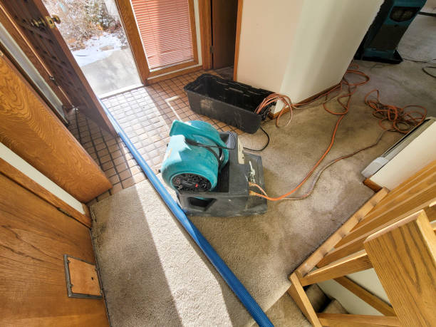 Best Commercial water damage restoration  in Edgewater, NJ