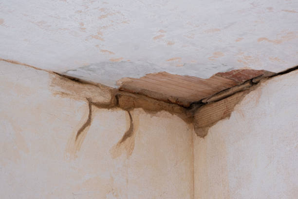 Best Flood damage cleanup  in Edgewater, NJ