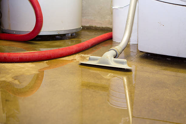 Best 24/7 water damage repair  in Edgewater, NJ