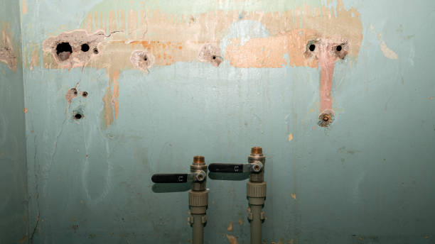 Best Water damage restoration insurance claims  in Edgewater, NJ