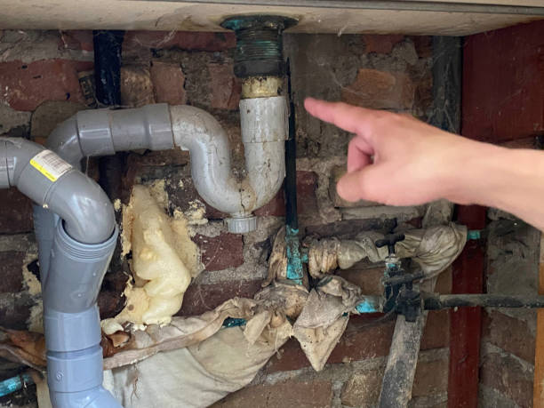 Best Fire Damage Restoration  in Edgewater, NJ