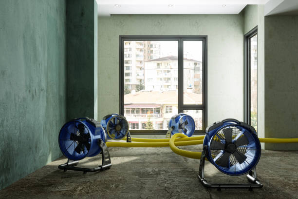 Best Basement water damage restoration  in Edgewater, NJ